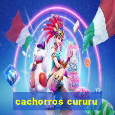 cachorros cururu